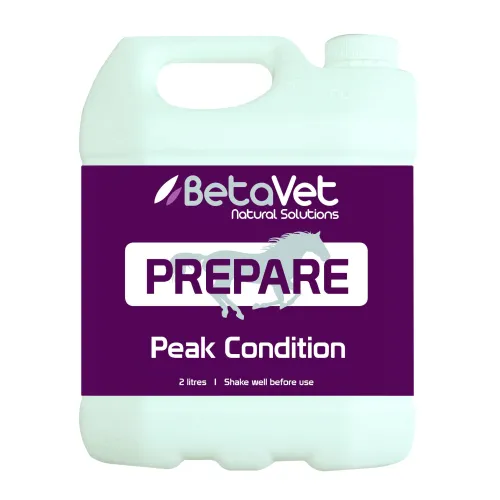 BetaVet Prepare