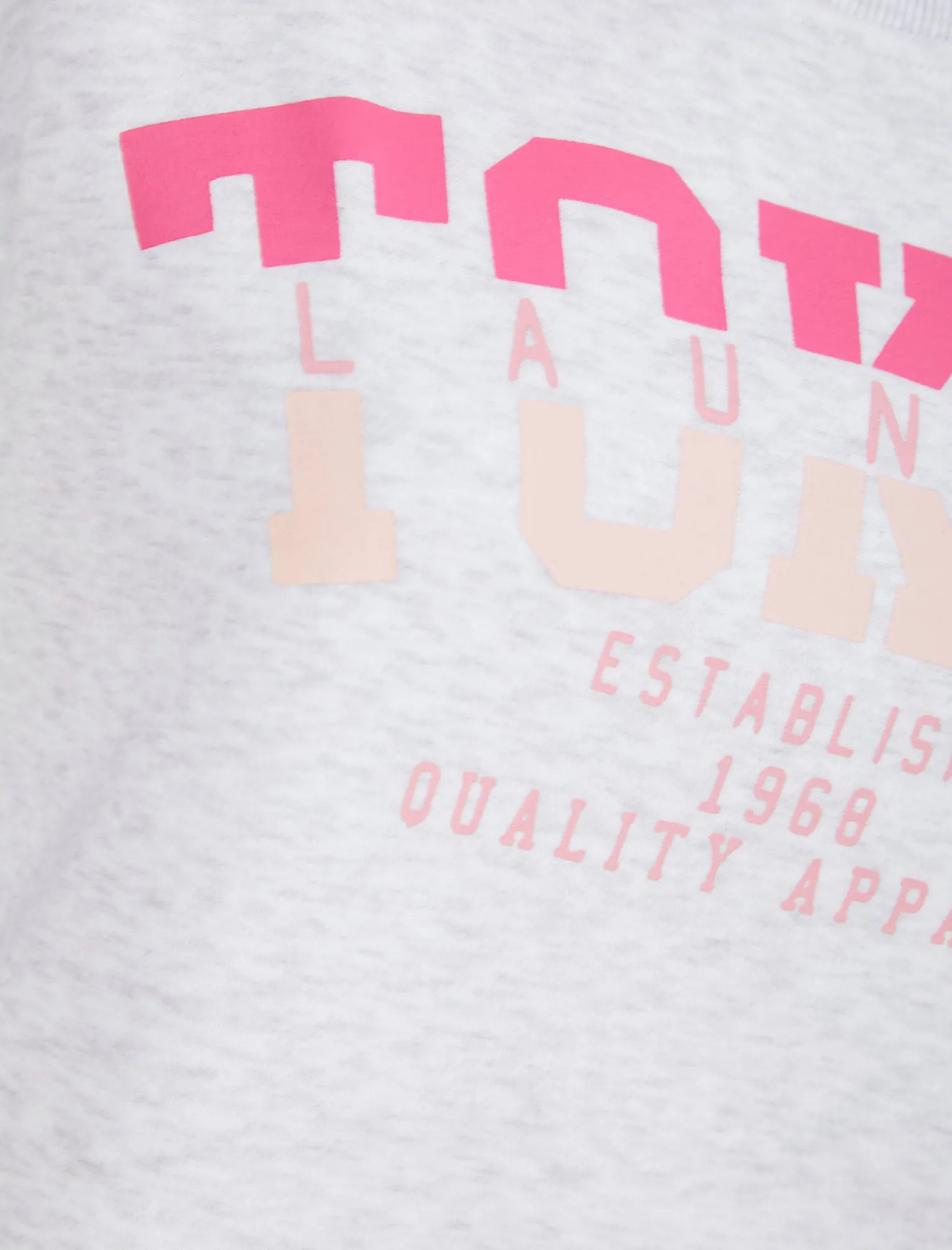 Shardae Motif Cotton Blend Fleece Sweatshirt in Ice Grey Marl -  Tokyo Laundry